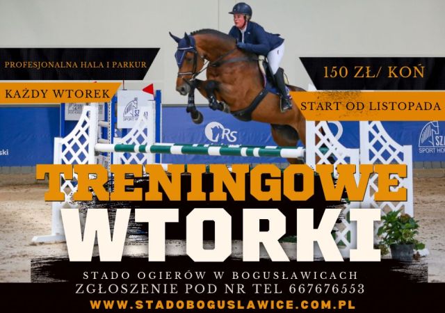 WTORKOWE TRENINGI SKOKOWE
