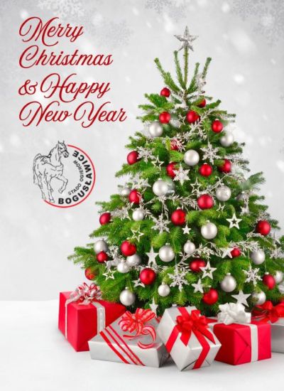 Życzenia Świąteczne 2025