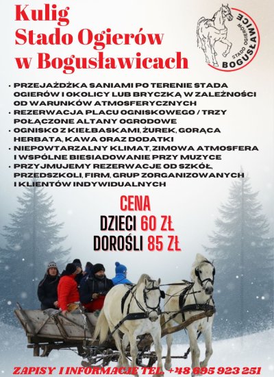 Kulig w Stadzie - Oferta Last Minute