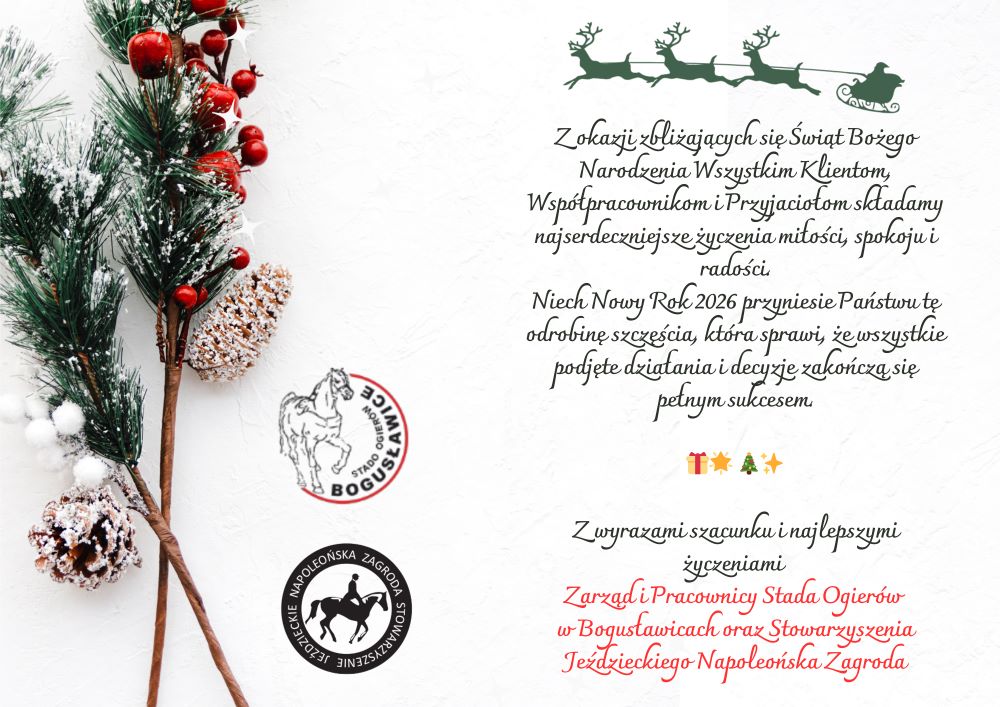 Kartka Świąteczna 2 www.jpg