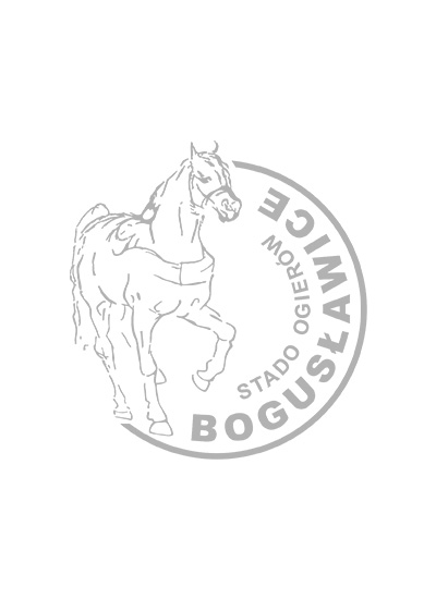Kalendarz zawodów jeździeckich 2024 Stado Ogierów w Bogusławicach